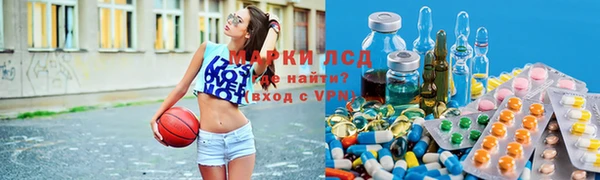 дмт Алзамай