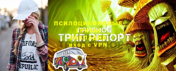 дмт Алзамай