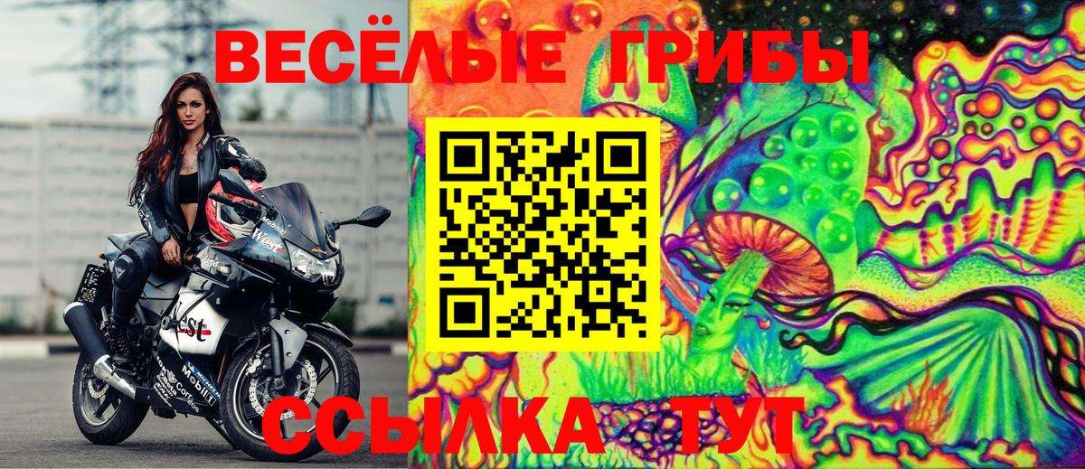 Дмитров  Галлюциногенные грибы GOLDEN TEACHER  купить   Вход с VPN 
