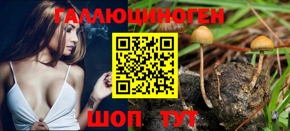 Псилоцибиновые грибы прущие грибы Дмитров
